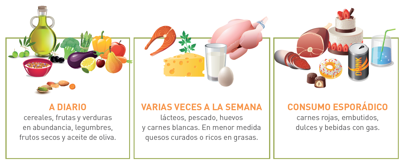 Alimentos a diario